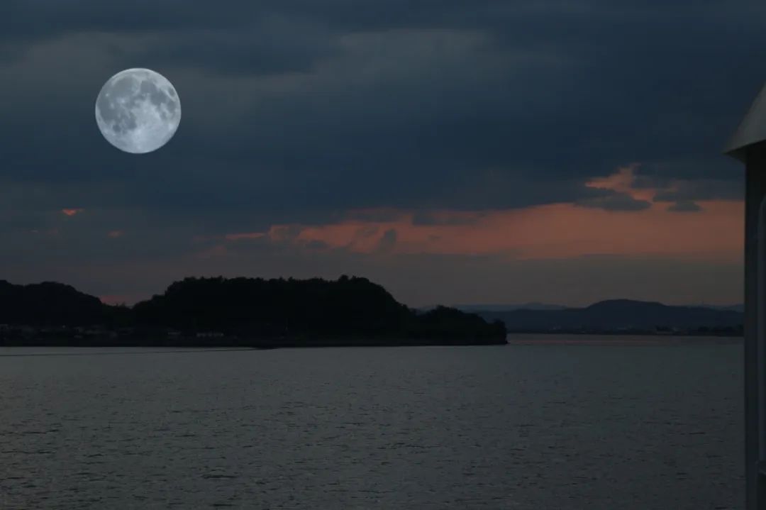 在我的心上做我的明月要去追寻月亮即使坠落也是掉进浩瀚星河我在人间