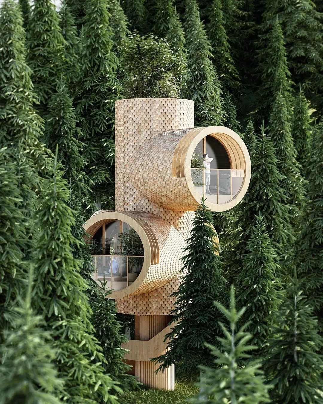 最受设计师追捧的top15的树屋哲道美学