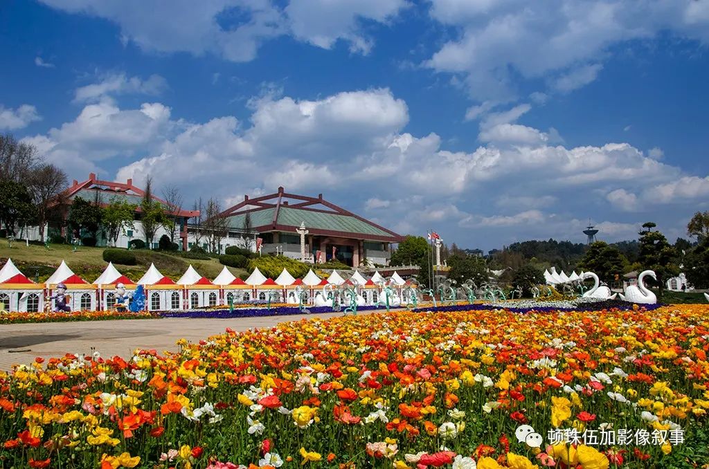 疫情过后是春天