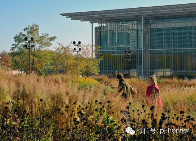 独特而多样的视觉品质,加上较低的养护水平使得它们得以杆俚拇.