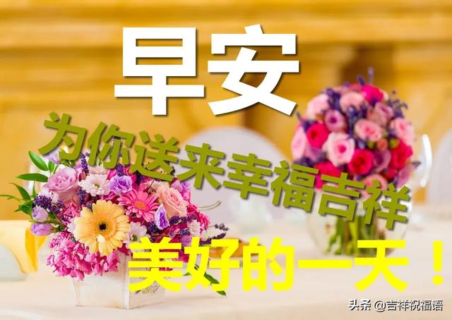 清晨问候大家早上好鲜花图片2020清晨祝福早上好问候语温馨语录