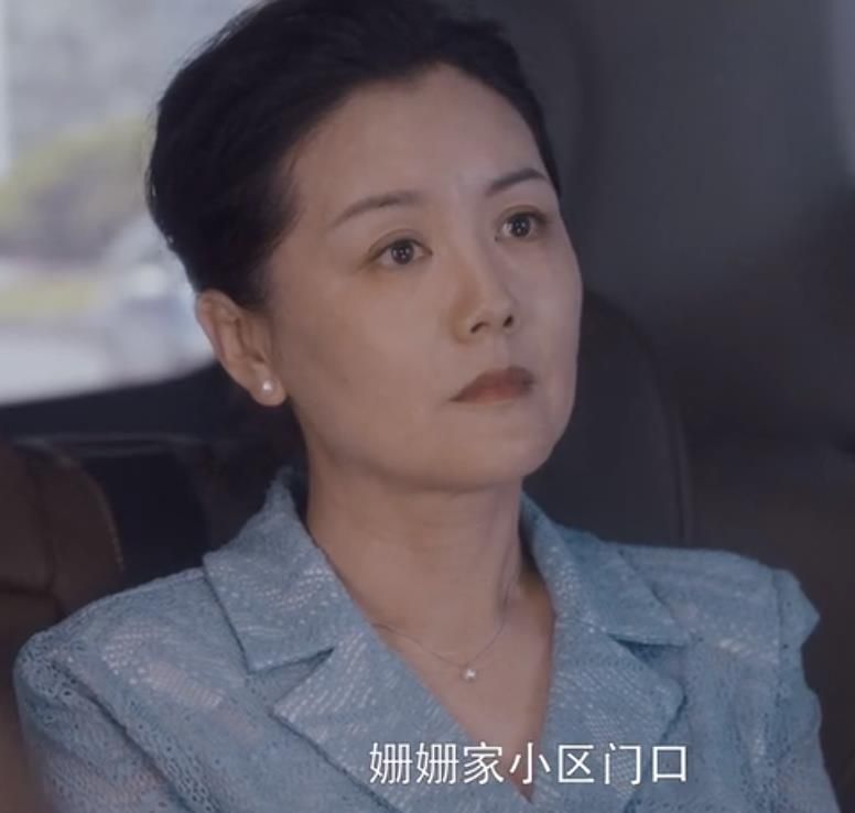 原创安家里十大抢镜的妈妈潘贵雨胡搅蛮缠朱闪闪妈妈花式催婚