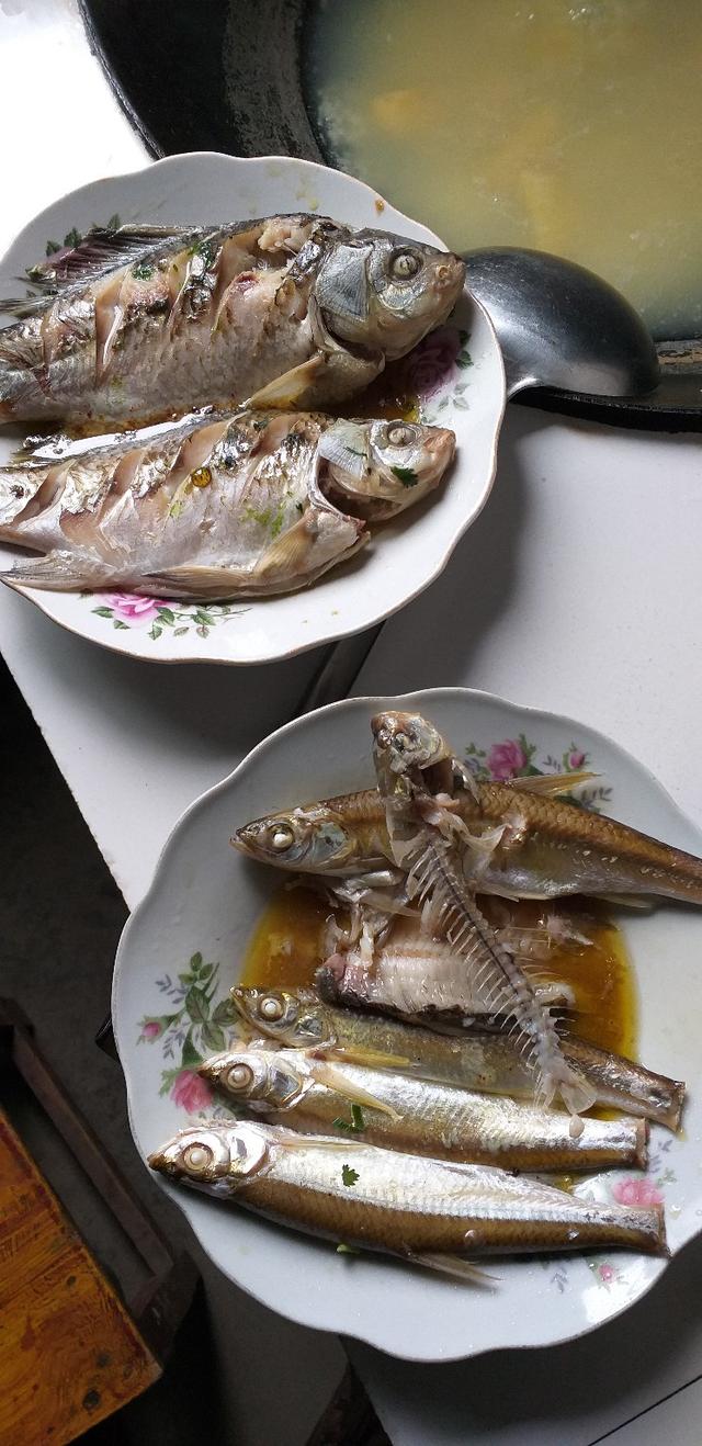 钓鱼烹鱼吃鱼亲自苦b过味道你懂的