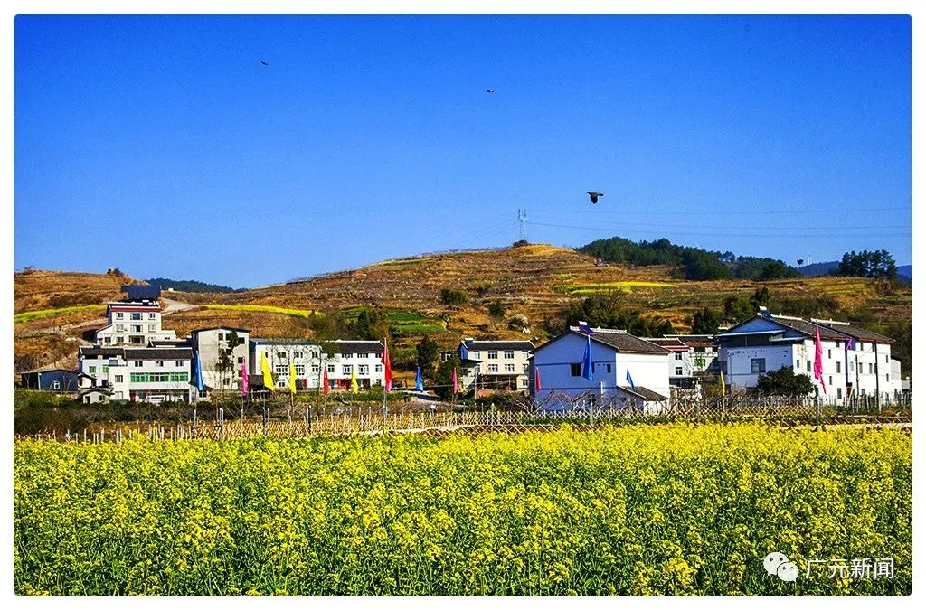 春色如许 利州大石镇风光如画