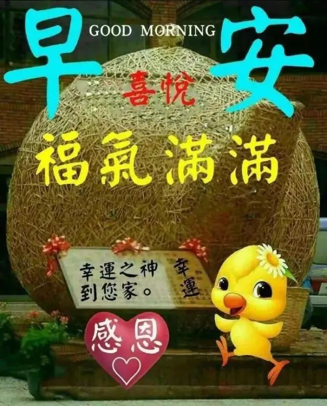 2020最新早上好漂亮图片祝福语动态表情,早上好动画表情图片问候语