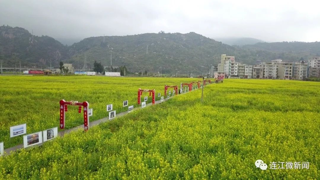 马鼻镇东湾村图片