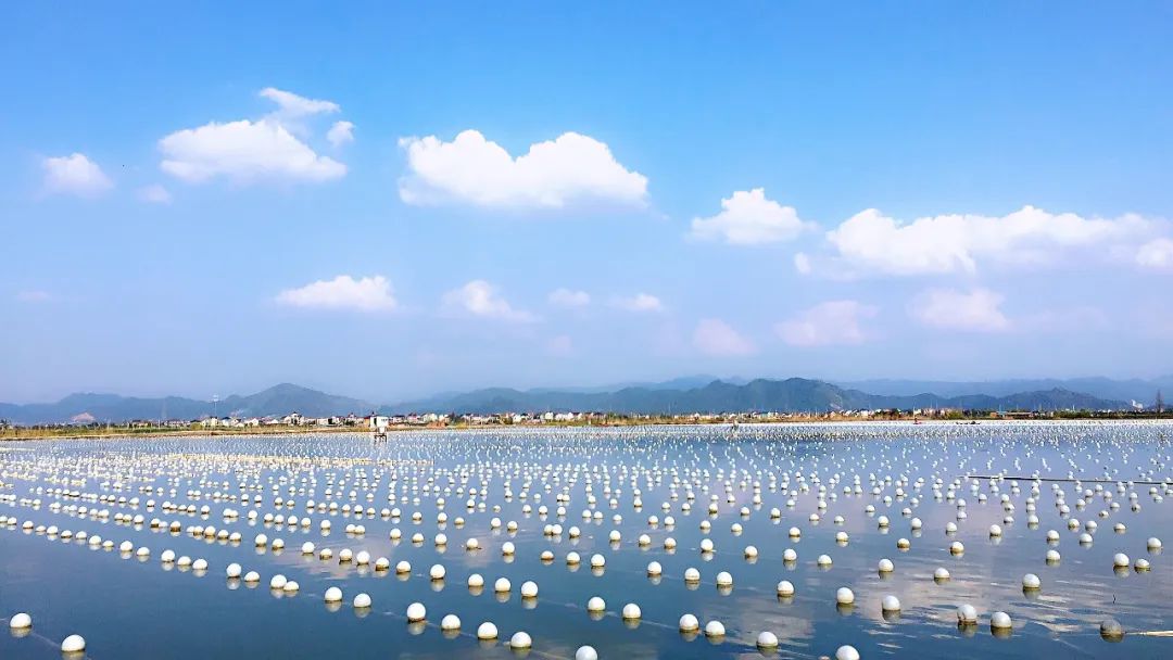 资本注入三农开辟共赢之道记浙江省诸暨市国家现代农业产业园