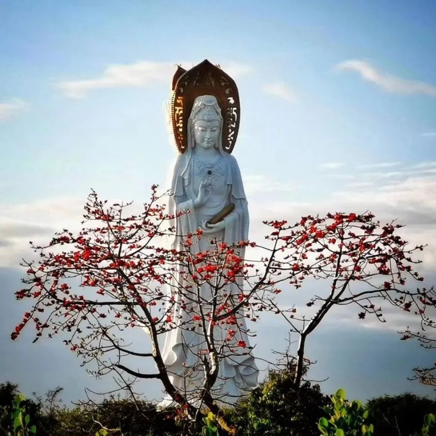 观音菩萨诞辰日祈福惜福祝福