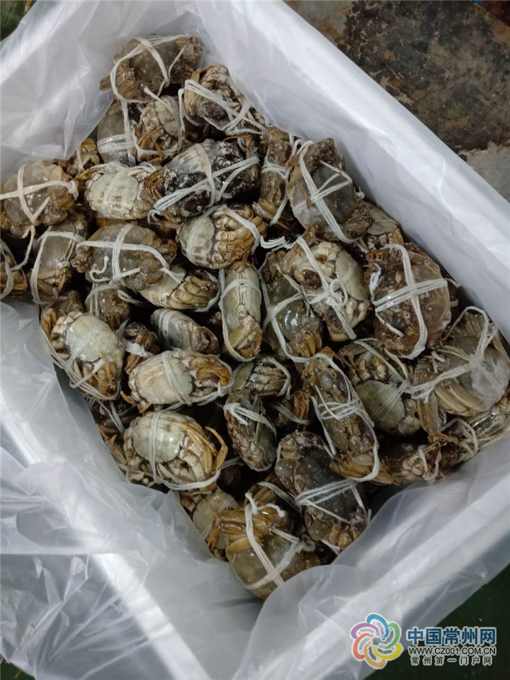 零下40度速冻8小时金坛首单16吨冻蟹出口韩国