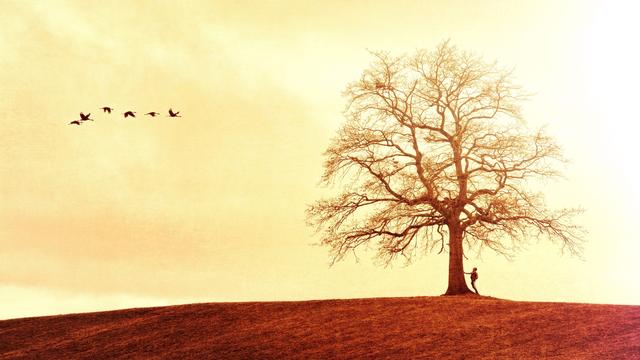 (艾青)它们把根须纠缠在一起在看不见的深处它们的根生长着但是在泥土