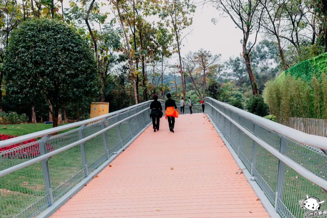 广州首条空中步道连接3大秀山花海古迹尽享云上美景