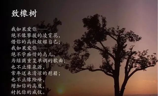 我必须是你近旁的一株木棉,作为树的形象和你站在一起.