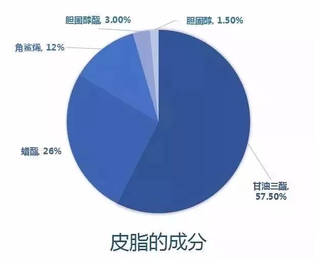 神經酰胺是什麼煙酰胺和神經酰胺有啥區別