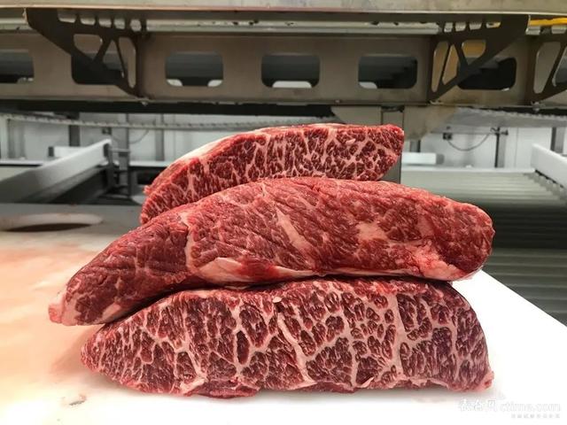 周末不谈表吃什么野味这些牛肉它们不够香吗