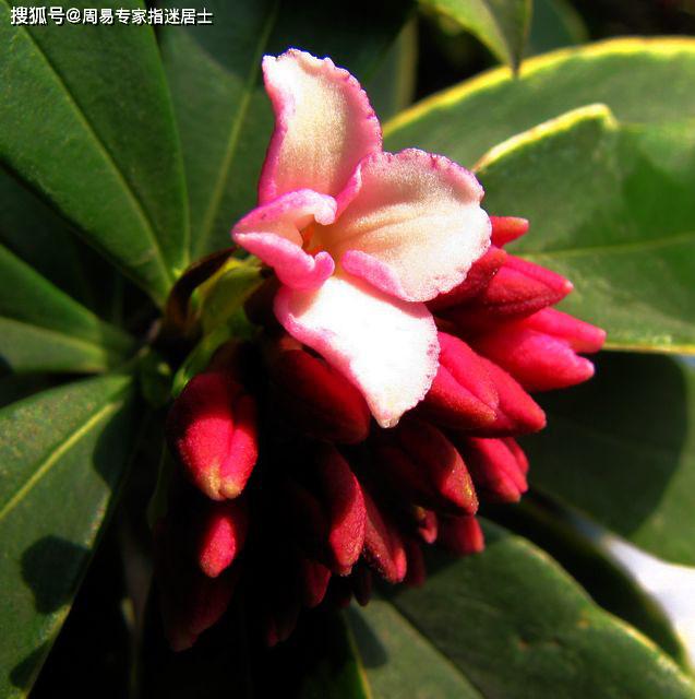 属蛇人2020年9月运气:赚得多花得越多,爱情都不肯意了_生肖