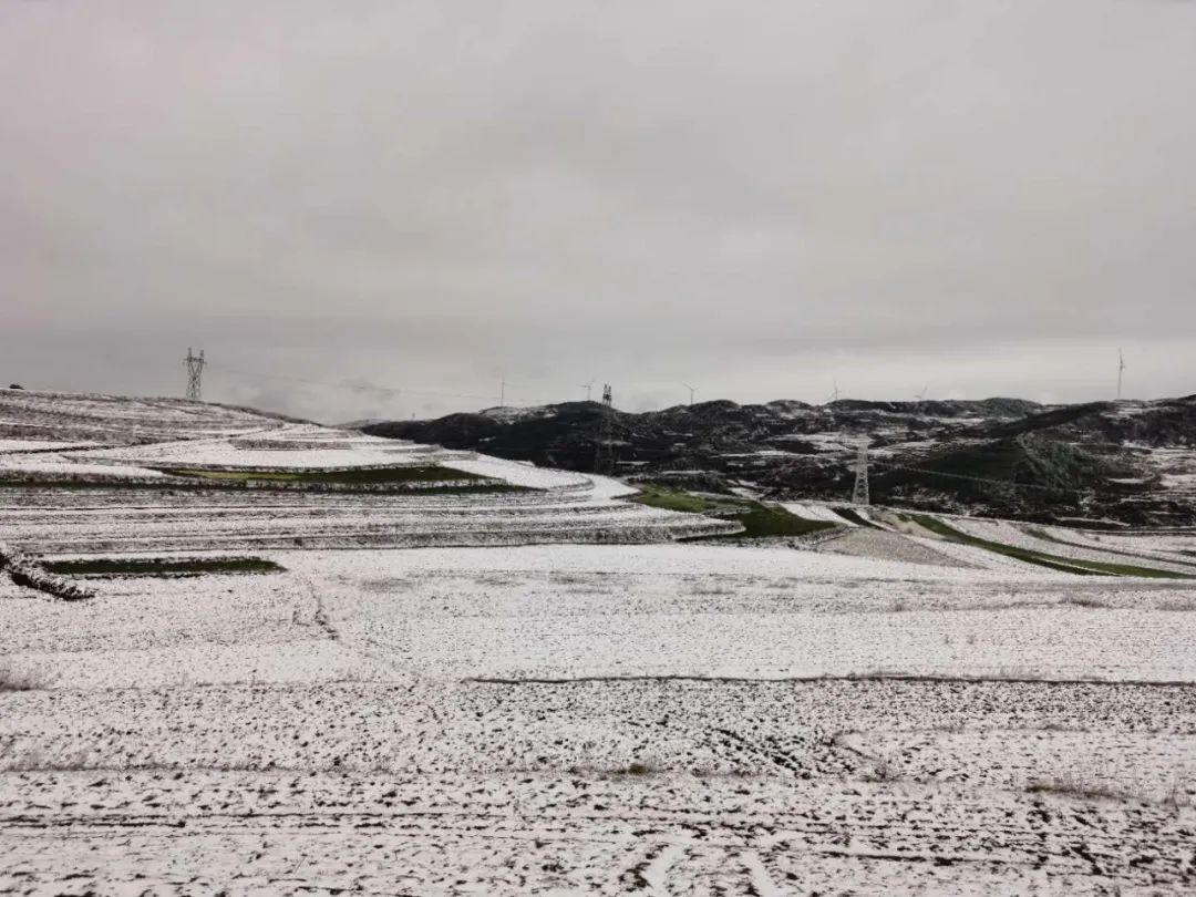 贵州这里下雪了!白茫茫一片超漂亮!