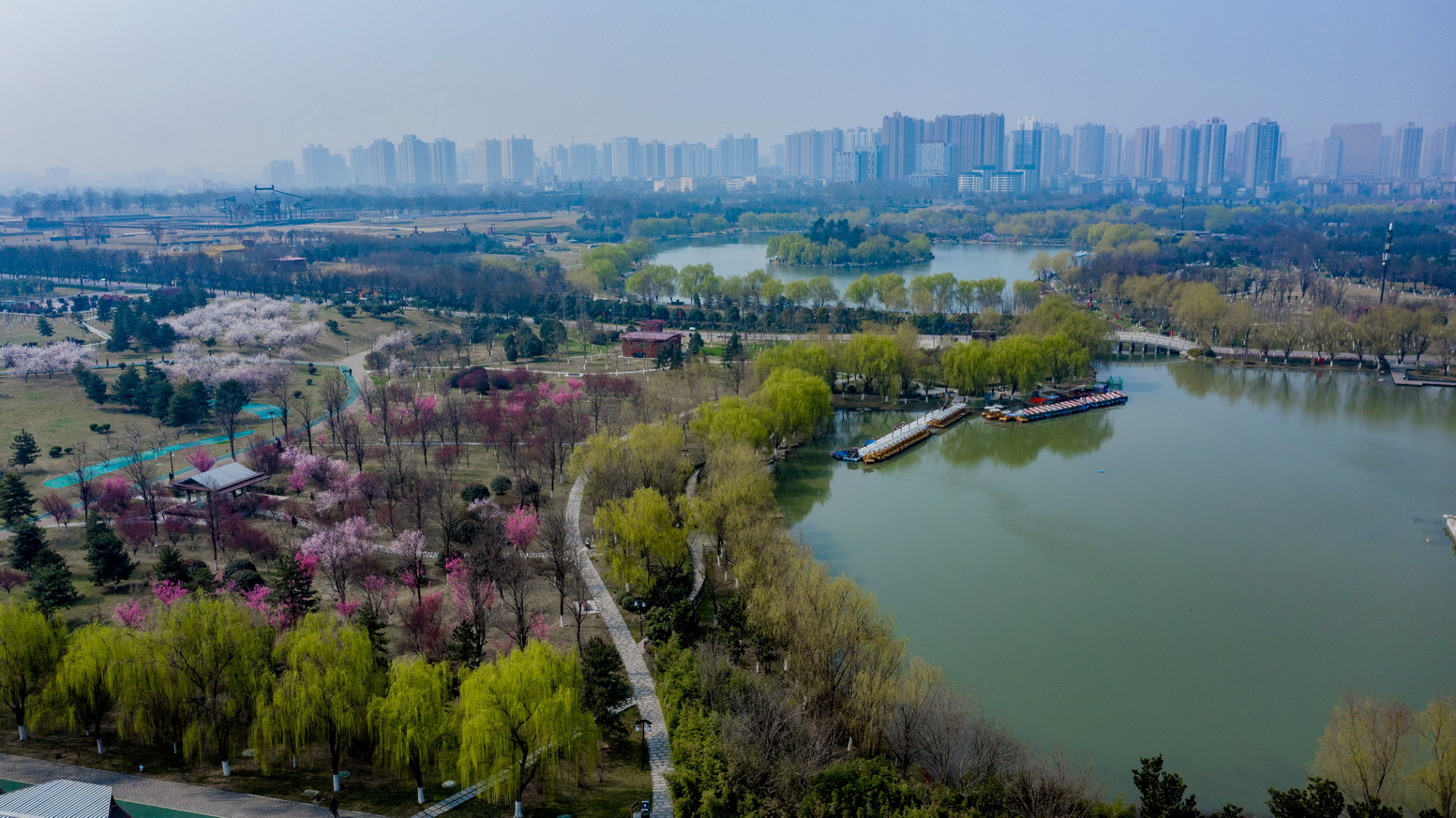 原创足不出户就能欣赏西安的绝美春色美景不等人跟我的镜头逛起来