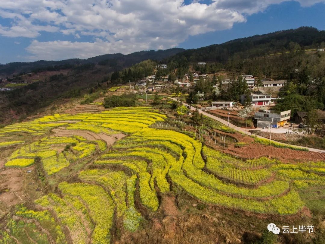 拍下来送给你本台记者走进毕节市七星关区田坝镇茨朗村3月8日五彩斑斓
