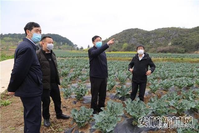 3月10日下午,安顺市委副书记吴刚平率队到西秀区东屯乡,就坝区产业