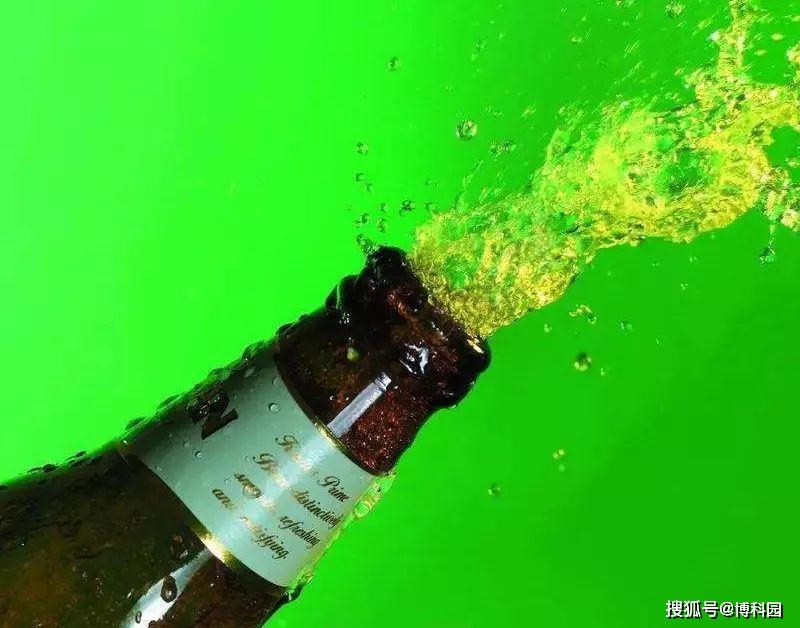打开前摇晃瓶子是一个很大的禁忌,否则会导致啤酒像香槟一样喷出来