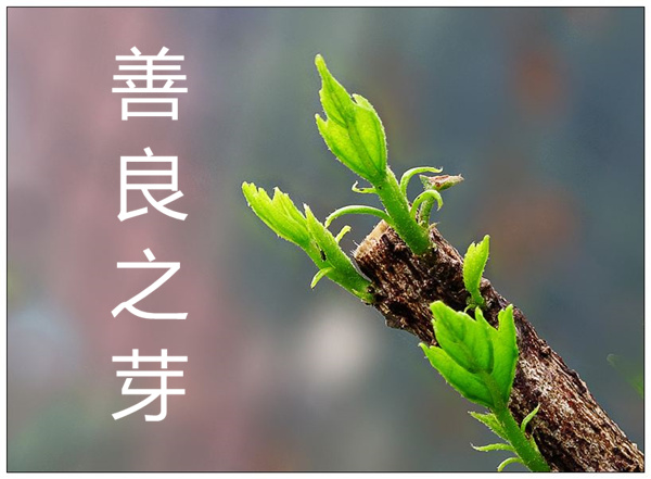 善良之芽俗话说:春风不入驴耳,愚人不听人劝.