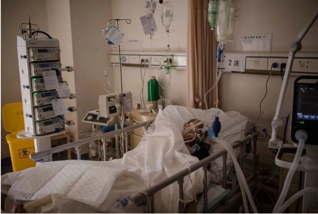 人人都夸张文宏但我更想吹爆他所在的医院