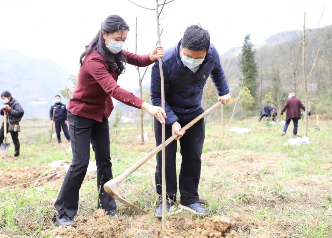 植树正当时跟着书记县长去添绿