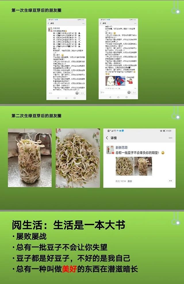 廊坊市第四中学怎么样?总有一种美好潜滋暗长(图7)