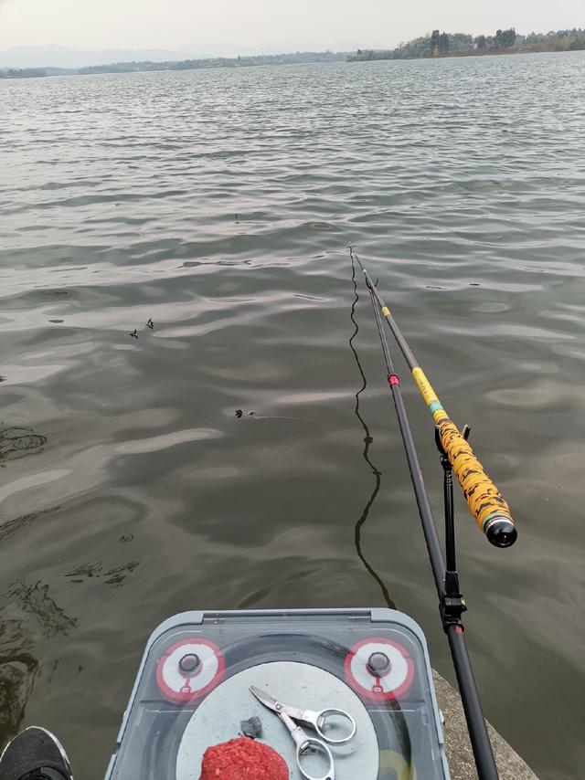 2020钓鱼的诗和远方喂鱼第一站钓三岔湖