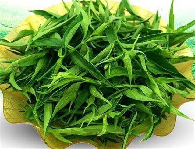 鳄嘴花如何养,掌握这个繁殖技巧,花开能救命!