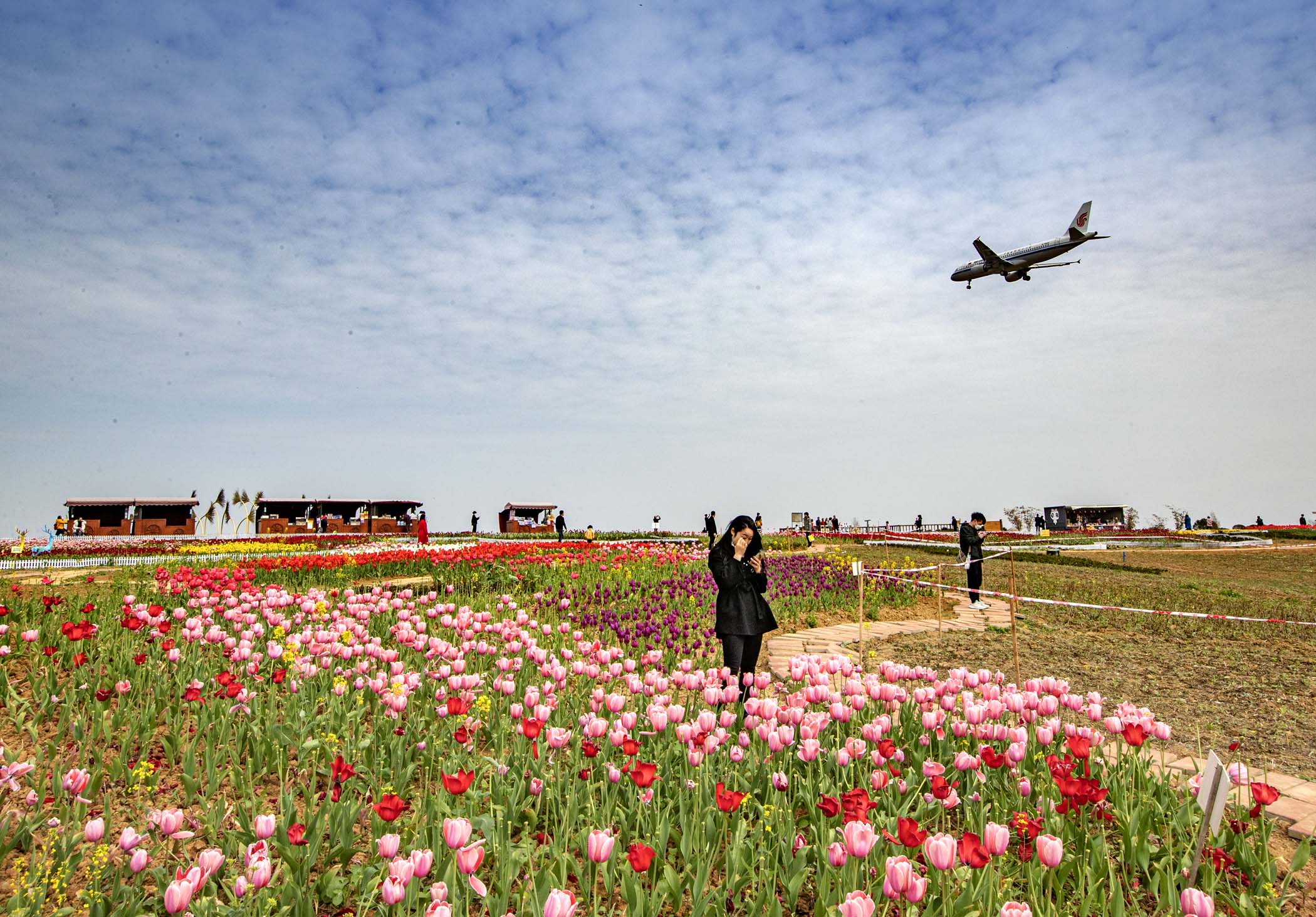 空港花田地图图片