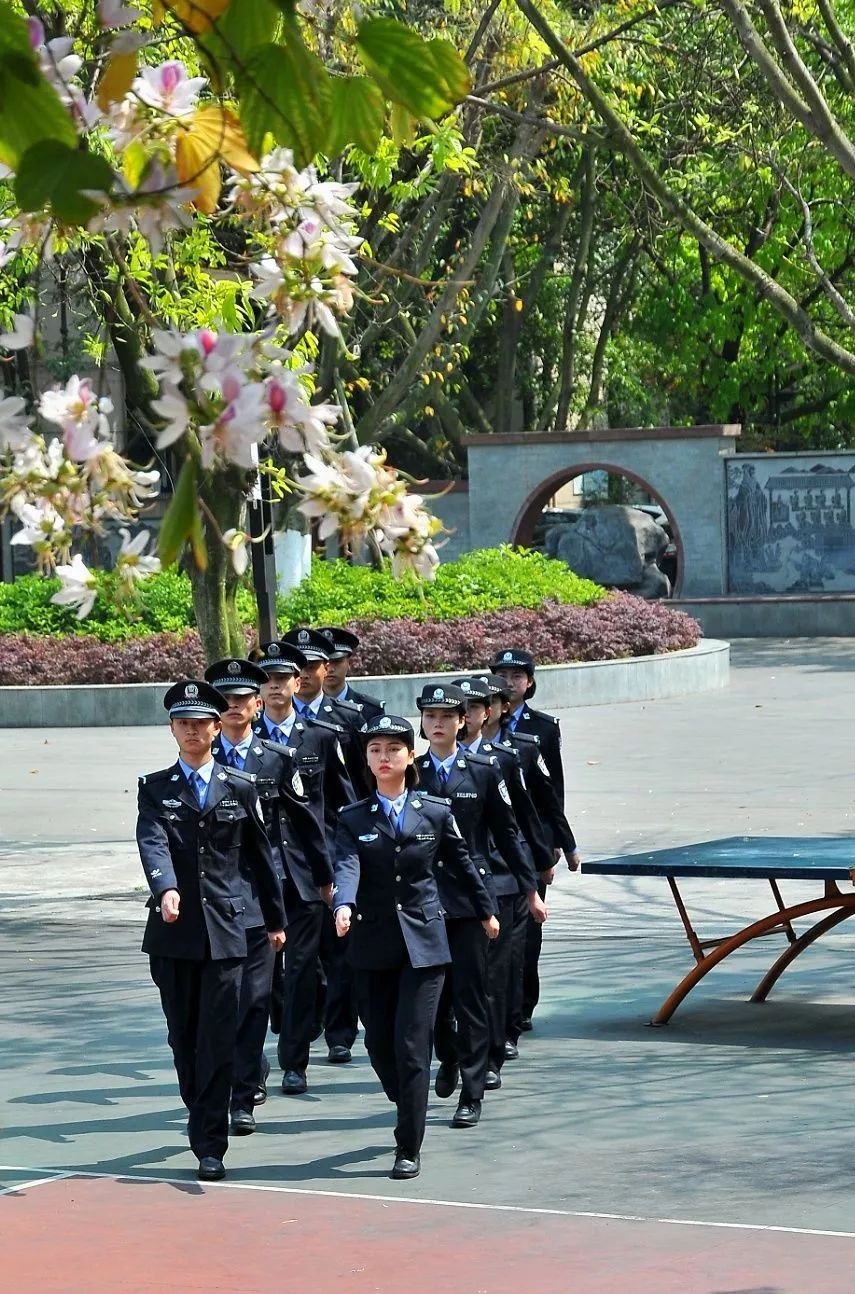 全川唯一一所政法类全日制普通高职院校四川司法警官职业学院今年单招