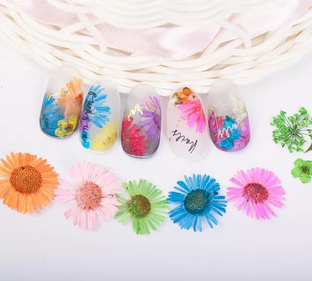 精致干花唯美贴纸花控美甲一族必看