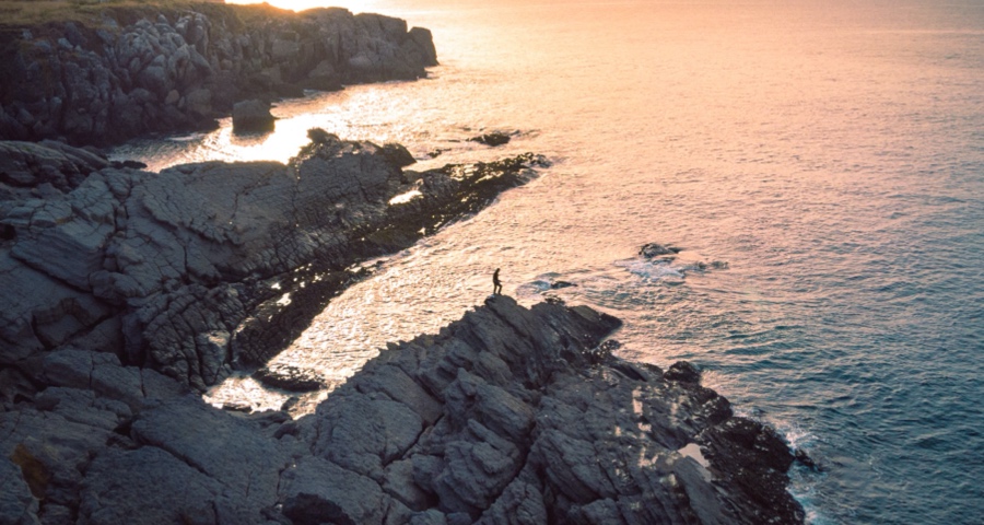 格力卖口罩美的送口罩隐藏的不同逻辑：从转战线上到运营用户-家电圈官网
