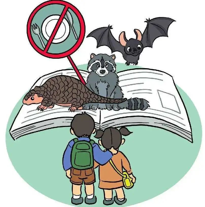 广东率先修法食用野生动物最高罚10000元