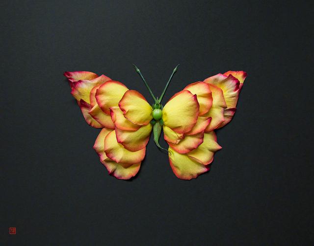 用花瓣编织成动物图案看完整个心都静了