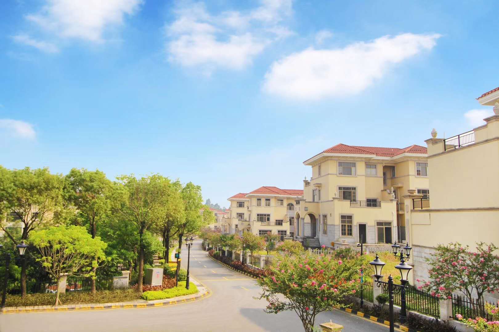 房产市场优惠时期,佛山恒大山水龙盘,你会怎么选择?