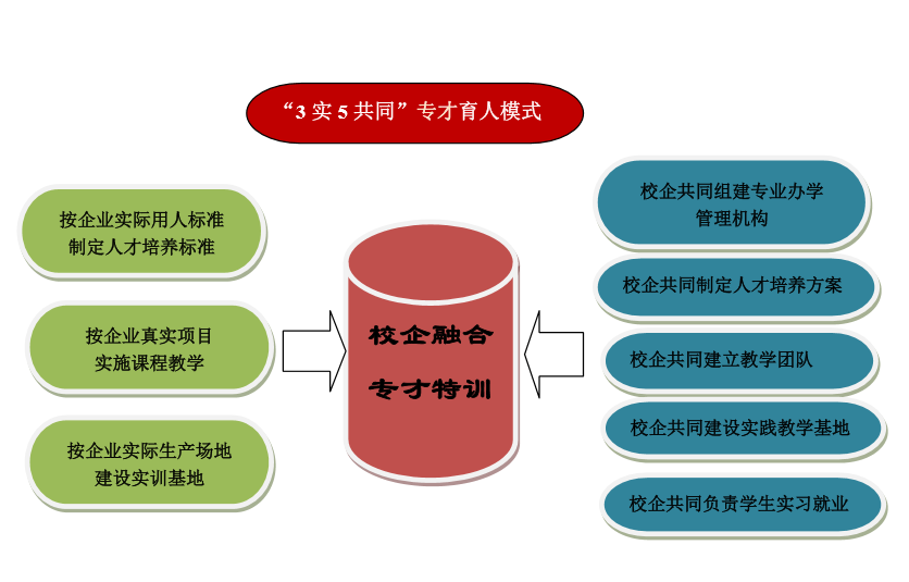 专才特训的精准教育样本