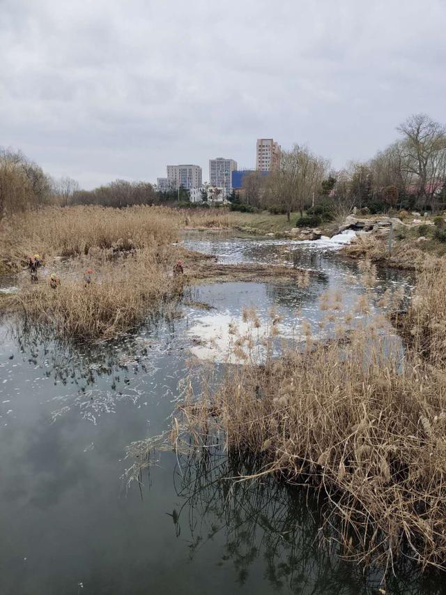 青岛胜利桥河边那几个拿弹弓的,你们想干嘛