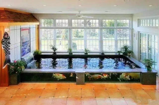 知道吗室内鱼池也可以这么惊艳