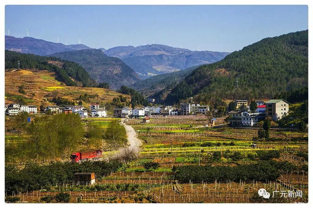 春色如许 利州大石镇风光如画