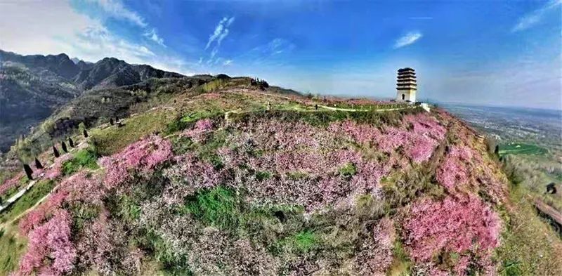 重要丨关于2020年龙门桃花沟有序开放管理的通知_姚渡镇