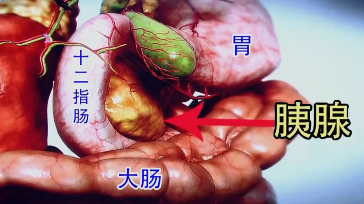 研究引入了胰腺癌可切除性的新概念