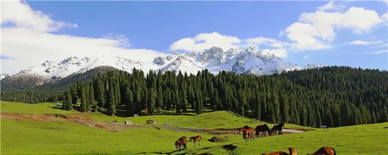 昌吉州47家a級景區將於近期有序開放,欣賞春季美景勿忘消防安全!_旅遊