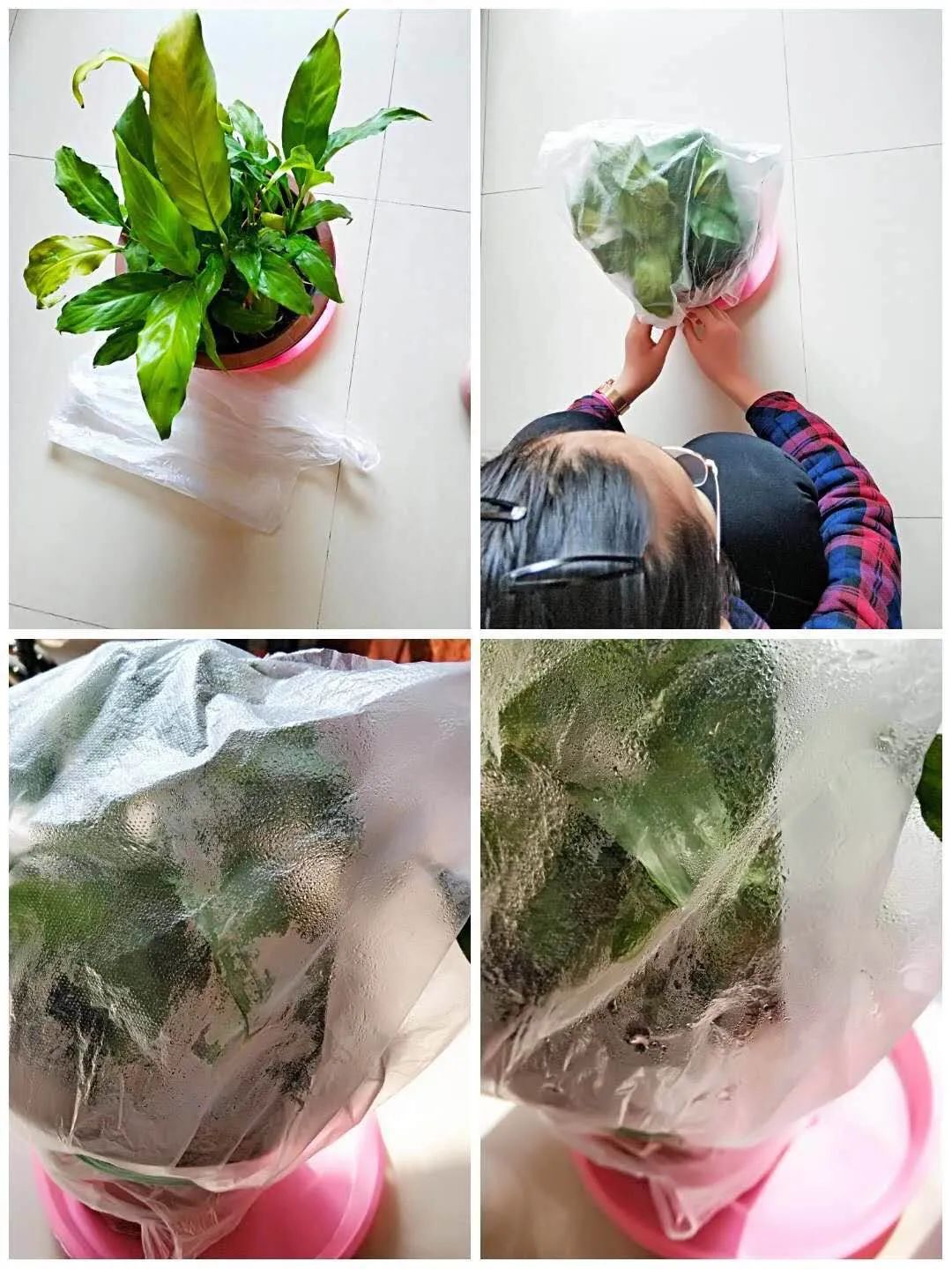 跟着北京八中固安分校的小伙伴们一起遨游!