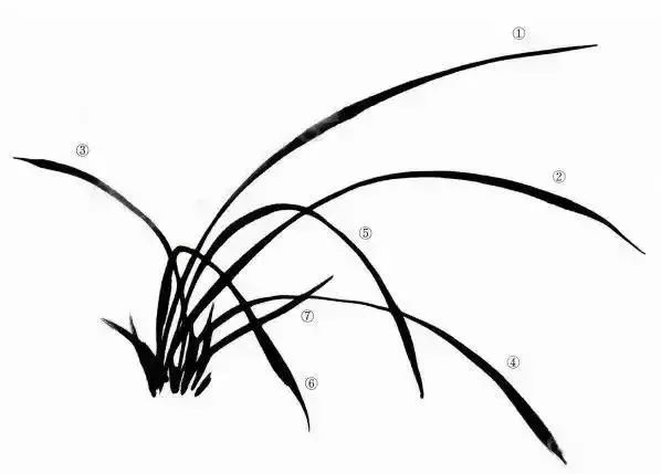 教你画兰花兰草主次虚实呼应等绘画关系大合集