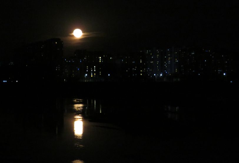 昨夜窗外一轮圆月,小亦带你足不出户赏"月"景~_月亮