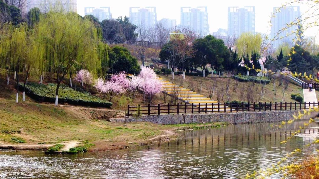 浐灞桃花潭公园,就在浐河河畔,将花与河景结合在一起,岛上种满桃花,美