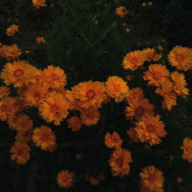 微丧背景图错的人教你长大对的人陪你长大