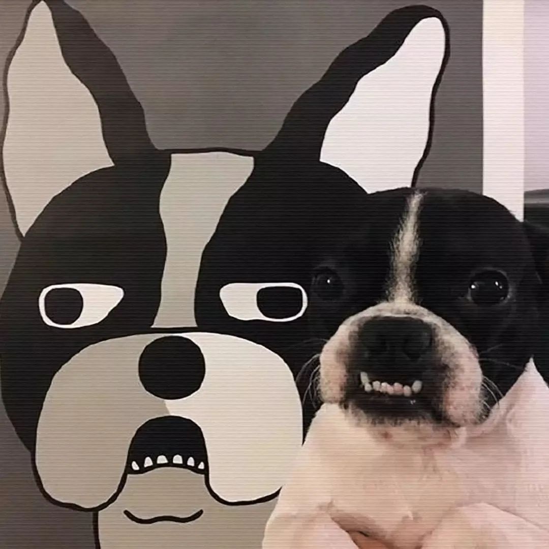 微信头像大全 | 抖音里面好看的头像,请查收